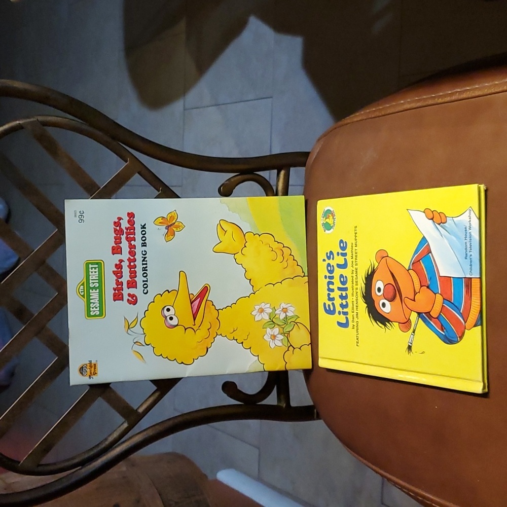 LOT OF 2 VINTAGE SESAME STREET BOOKS ERNIE LITTLE LIE & BIG BIRD COLORING VGUC